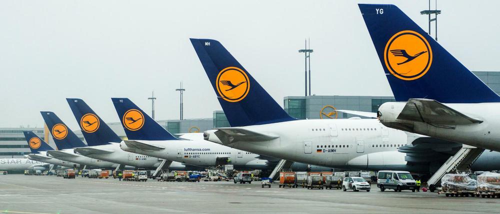 Die Passagiernachfrage soll im kommenden Jahr um 4,2 Prozent steigen. 