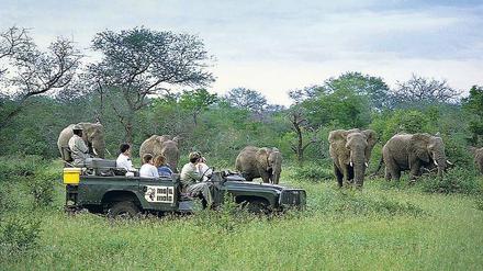 Nah, näher, Natur. Die einen wollen Schnappschüsse, die anderen Trophäen mit nach Hause nehmen. Im richtigen Maß können sowohl Foto-Tourismus als auch Jagd-Safaris helfen, Afrikas Schutzgebiete für Wildtiere langfristig zu erhalten. 