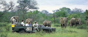 Nah, näher, Natur. Die einen wollen Schnappschüsse, die anderen Trophäen mit nach Hause nehmen. Im richtigen Maß können sowohl Foto-Tourismus als auch Jagd-Safaris helfen, Afrikas Schutzgebiete für Wildtiere langfristig zu erhalten. 