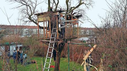 Abrisskommando. Am Sonntag wurde das Baumhaus abgebaut. 
