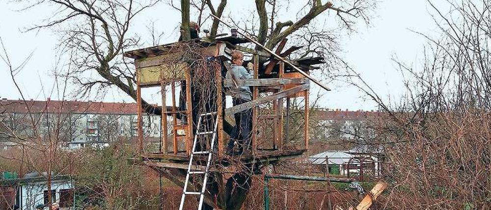 Abrisskommando. Am Sonntag wurde das Baumhaus abgebaut.