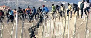 Flüchtlinge versuchen, den Grenzzaun der spanischen Exklave Melilla zu überwinden.