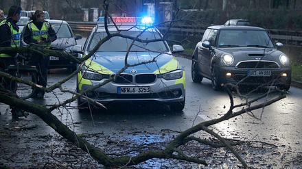 Polizisten beseitigen am Mittwochmorgen in Köln einen umgestürzten Baum von einer Straße. 