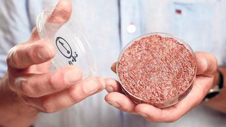 Vor viereinhalb Jahren hat Mark Post von der Universität Maastricht erstmals Fleisch präsentiert, das er aus Stammzellen erzeugt hat.