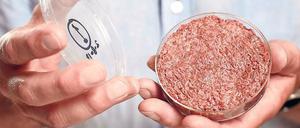 Vor viereinhalb Jahren hat Mark Post von der Universität Maastricht erstmals Fleisch präsentiert, das er aus Stammzellen erzeugt hat.