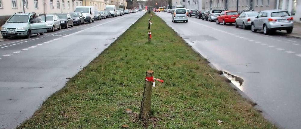 Der Mittelstreifen bietet ein trauriges Bild.