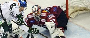 Petri Vehanen steht seit vier Jahren bei den Eisbären im Tor. 