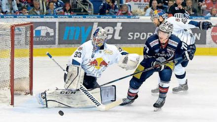 Die letzte große Serie gegen München. Im Halbfinale der Play-offs scheiterten Daniel Fischbuch (in blau) und die Eisbären in der Vorsaison am Meister.