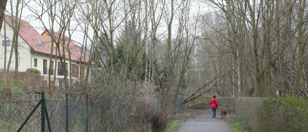 Der Uferweg in Groß Glienicke ist von Anwohnern teils gesperrt. Das soll sich ändern – zumindest für Fußgänger.