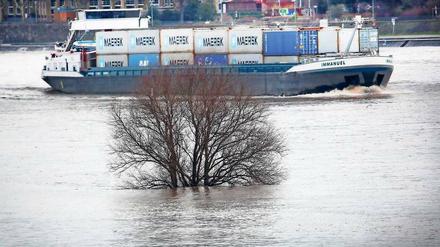 Land unter: Während die ersten Bäche im Schwarzwald bereits wieder abschwellen, werden die höchsten Pegelstände an Rhein, Main und Mosel erst am Wochenende erwartet.