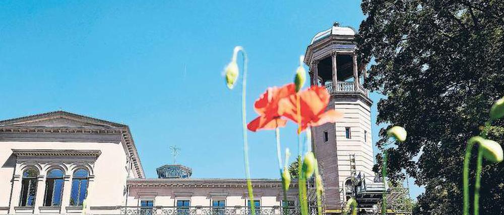 Das IGA-Jahr in Marzahn-Hellersdorf ist vorbei - nun warten neue dornige Chancen auf den Bezirk.