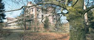 Verwunschen. Das Gebäude der ehemaligen Chirurgie soll zur Landesgartenschau 2022 wiederhergerichtet werden.