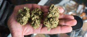 Eine Handball Cannabis. 