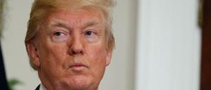 Wieder mal in der Kritik: US-Präsident Donald Trump 