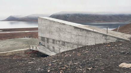 Im Global Seed Vault auf Spitzbergen werden Pflanzensamen konserviert.