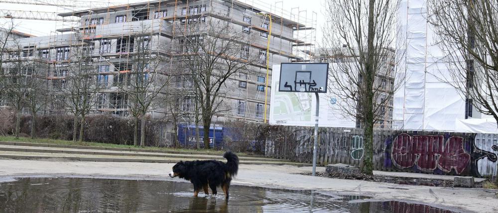 Wohnen am Mauerpark. Hier baut die Groth-Gruppe Mietshäuser in Höhe der Gleimstraße.