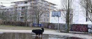Wohnen am Mauerpark. Hier baut die Groth-Gruppe Mietshäuser in Höhe der Gleimstraße.