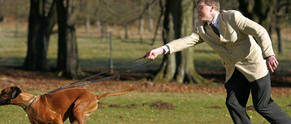 Leinenprobleme? Damit das nicht passiert und ihr Tier auch ohne Strippe laufen darf, sollten Hundefreunde künftig den "Hundeführerschein" erwerben. 