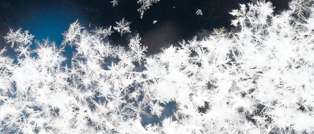 Foto: David Ebener/dpa