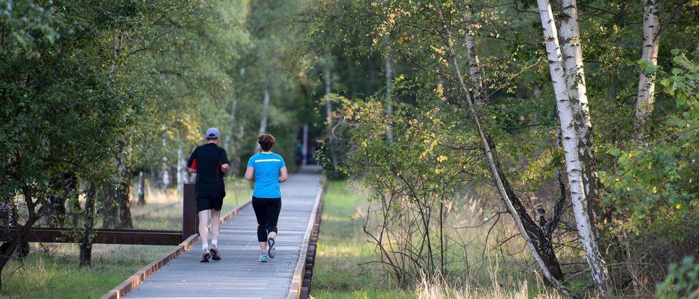 Der Natur-Park Schöneberger Südgelände in Berlin gilt als gelungenes Beispiel für die Verbindung von Erholungspark und Naturschutz.