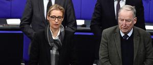 Alice Weidel und Alexander Gauland, die Fraktionsvorsitzenden der AfD.