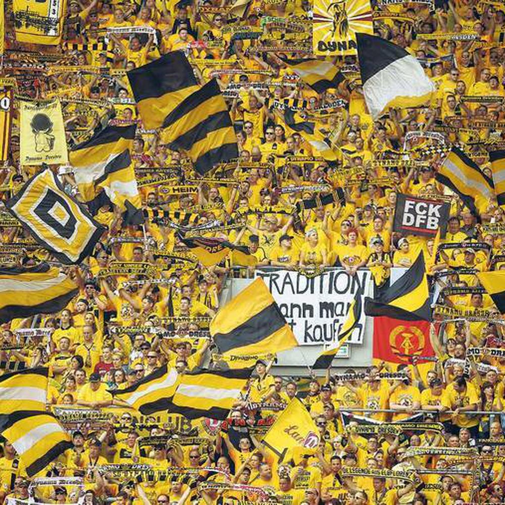 schal dynamo dresden