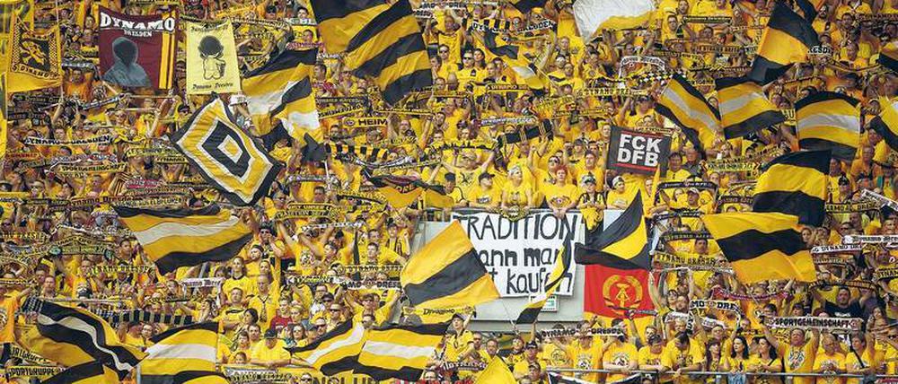 Sie sind Dynamo. Die Fankultur in Dresden ist vielfältig.