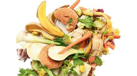 Bio wird Pflicht. Aus Küchenabfällen lässt sich Biogas gewinnen. Die BSR nutzt das bereits, um ihre Müllwagen zu betanken. 