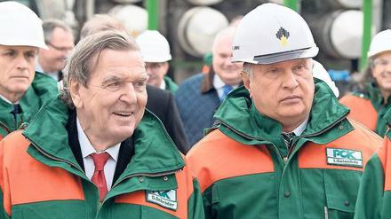 Einsatz für Russland. Gerhard Schröder (SPD) in Schwedt/Oder.