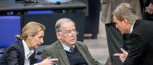 Die beiden AfD-Fraktionschefs Alice Weidel und Alexander Gauland (M) sprechen mit dem ersten Parlamentarischen Fraktionsgeschäftsführer der AfD, Bernd Baumann.