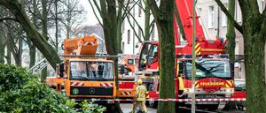 Sturmtief "Friederike" war am Donnerstag über weite Teile Deutschlands hinweg gezogen.