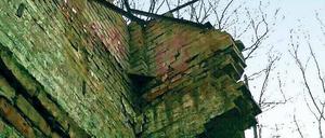 Das vergessene Mauerstück in Schönholz.