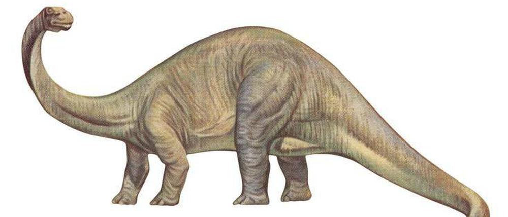 Der Dino lebt weiter.