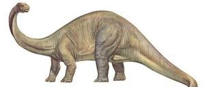 Der Dino lebt weiter.