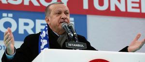 Präsident Recep Tayyip Erdogan geht scharf gegen Kritiker seiner Offensive in Nordsyrien vor.