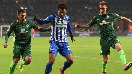Werder Niklas Moisander (r) und Zlatko Junuzovic versuchen Herthas dribbelstarken Valentino Lazaro (m) zu stoppen.