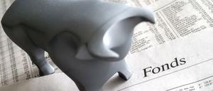 Die Besteuerung der Investmentfonds ist zum Jahresanfang verändert worden. Die Umstellung funktioniert nicht.