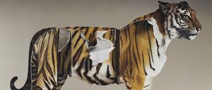 Gemalt nicht geklebt. Eckart Hahns "Papiertiger" von 2016.