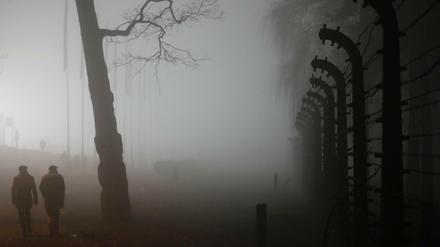Dichter Nebel am ehemaligen Konzentrationslager der Nazis in Auschwitz-Birkenau.