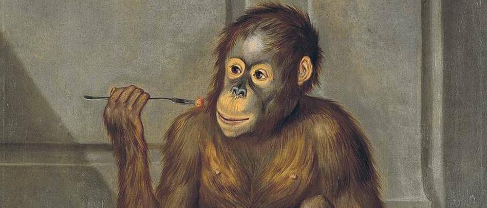 Domestiziert. Tethart Haags Gemälde „Orang Utan, Erdbeeren fressend“ (1776).