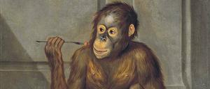 Domestiziert. Tethart Haags Gemälde „Orang Utan, Erdbeeren fressend“ (1776).
