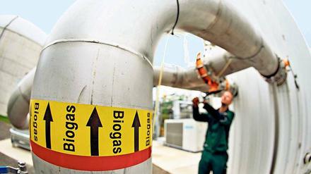 Neue Energie. In Biogasanlagen erzeugtes Methan ersetzt schon heute andere Energiequellen.