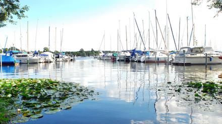 Vom "Fährhaus" aus hat man einen direkten Blick auf die Havel.  