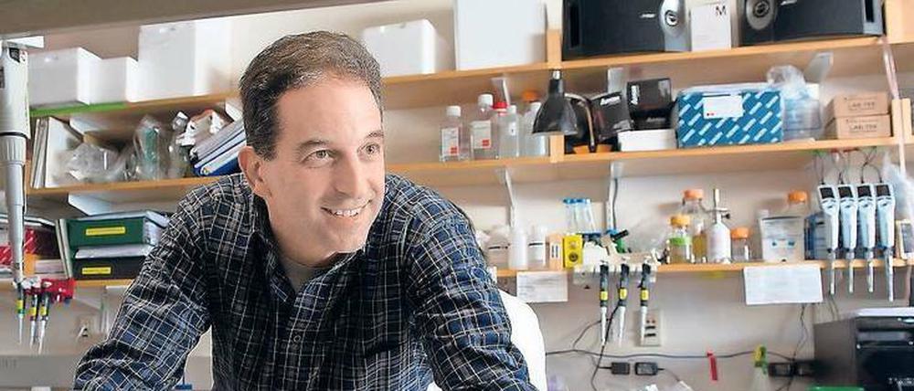 Mit Biologie wollte der Computeringenieur Ron Weiss lange nichts zu tun haben. Jetzt laufen seine Computerprogramme in Zellen ab. Er ist überzeugt, dass sie bald auch Patienten mit Aids oder Krebs helfen können.