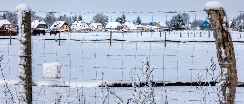 Landleben. Orte in Brandenburg, die bisher mit Bevölkerungsschwund zu kämpfen hatten, verzeichnen kräftige Einwohnerzuwächse.