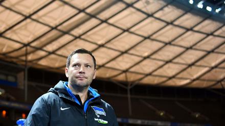 Problemlöser. Pal Dardai, Wärmeexperte und Fußballtrainer.