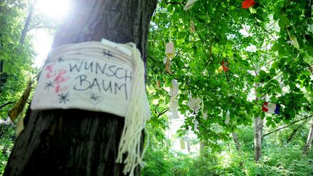 Für fast jeden Wunsch gibt es in Berlin einen Anspruchsschein. Was für einen Wunschbaum ein Konzept ist, sorgt als Politikstrategie für Frust.