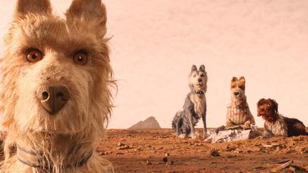 Wuff. Die Rasselbande aus Wes Andersons "Isle of Dogs".