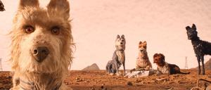 Wuff. Die Rasselbande aus Wes Andersons "Isle of Dogs".