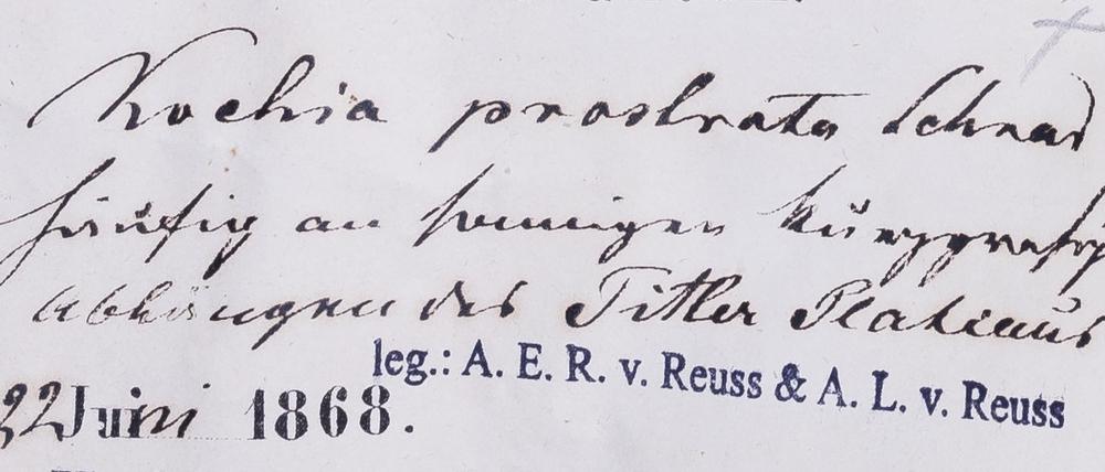 Detektivarbeit. Bis heute ist ein Großteil der Herbar-Belege nur auf Papier vorhanden - in den unterschiedlichsten Schriften.